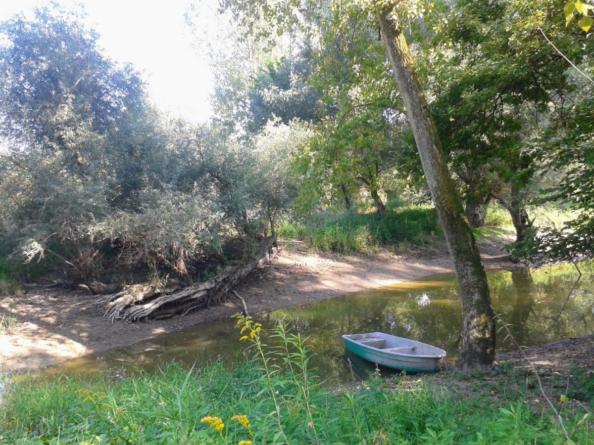 70Qm Wohnung, 76771 Hoerdt, Naturschutzgebiet, Rheinland-Pfalz Hordt Zewnętrze zdjęcie