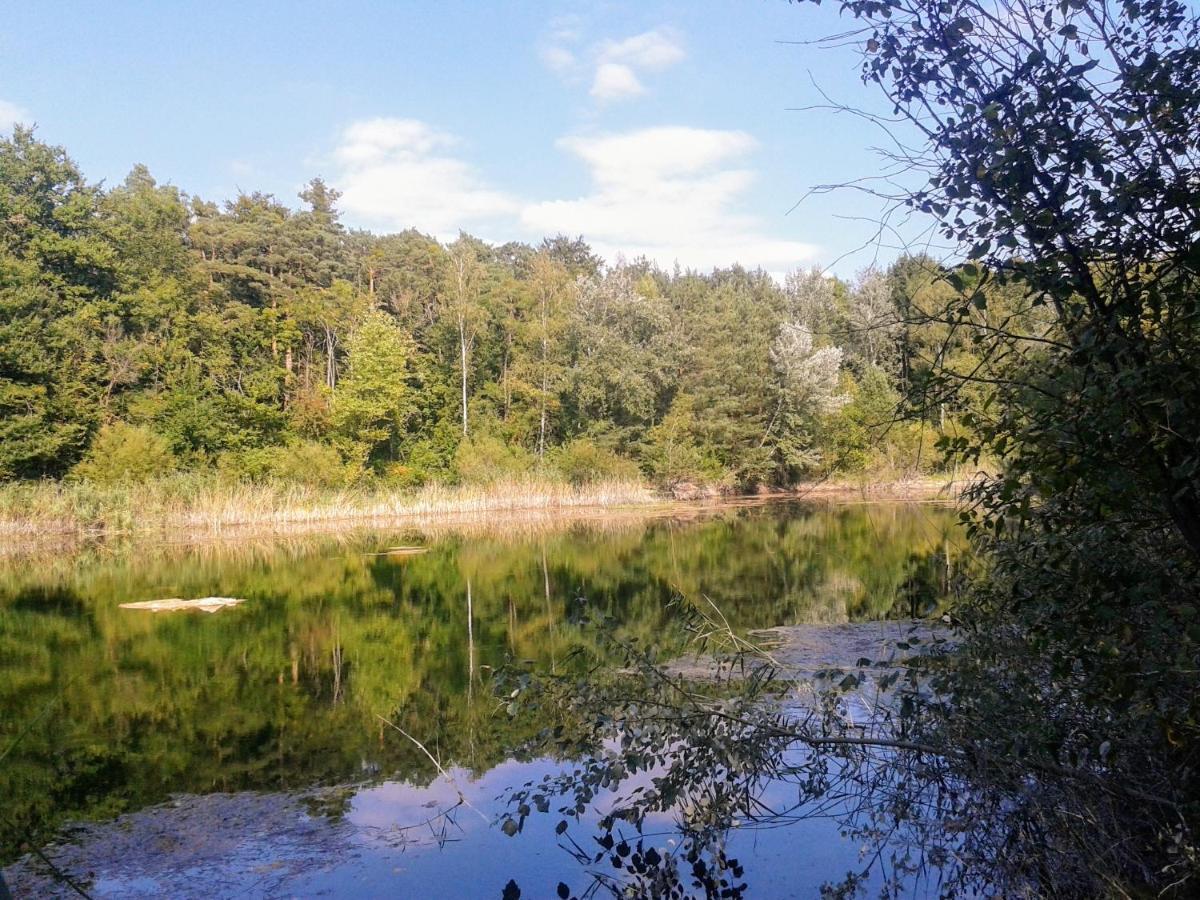 70Qm Wohnung, 76771 Hoerdt, Naturschutzgebiet, Rheinland-Pfalz Hordt Zewnętrze zdjęcie